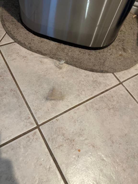 After 3 hours of vacuuming