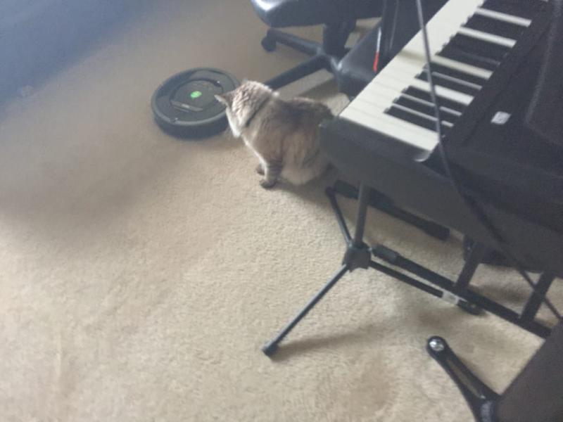 Simons like what do you want hERBIE?