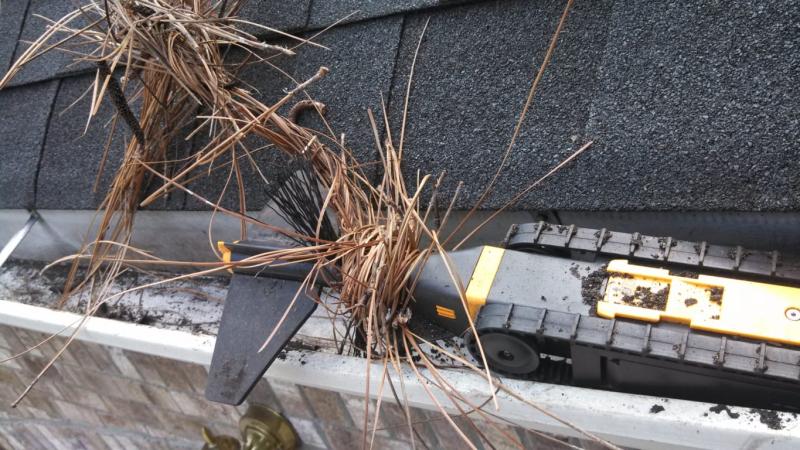 Pine needles stall robot every 3 or 4 feet.