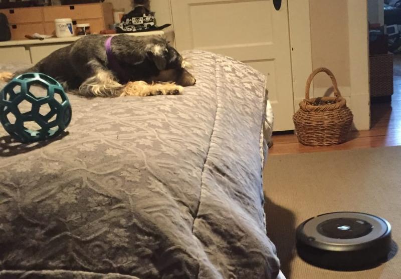 iRobot® Roomba® e5 (5150) WiFi® Connected Robot Vacuum Customer