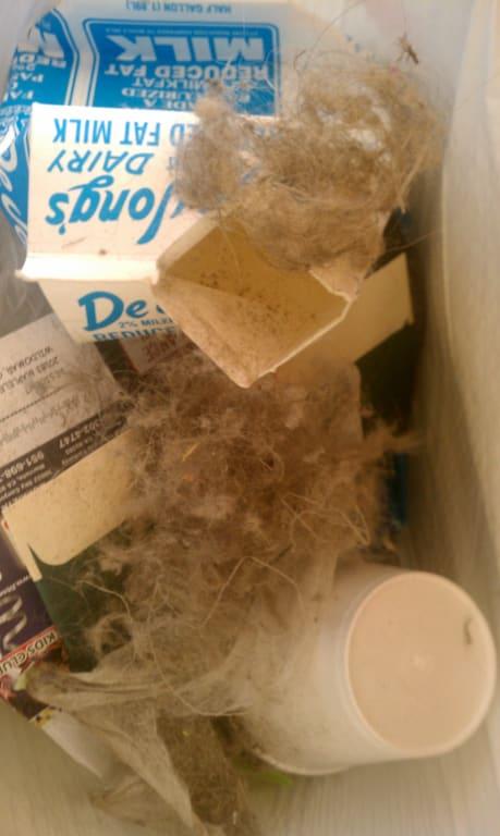 2 days of cleaning on tile floors and carpet rooms