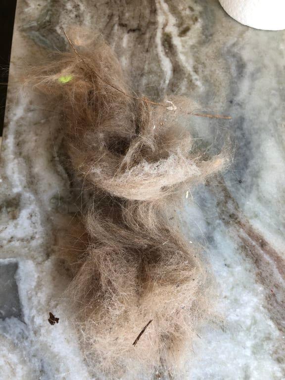 Lots of dog hair, had to empty bin 3 x