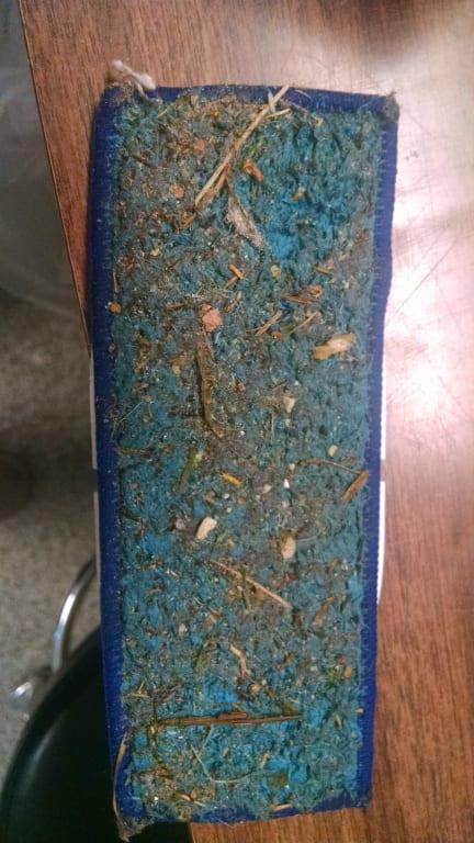 This is what 240 washed up immediately after 380t finished.