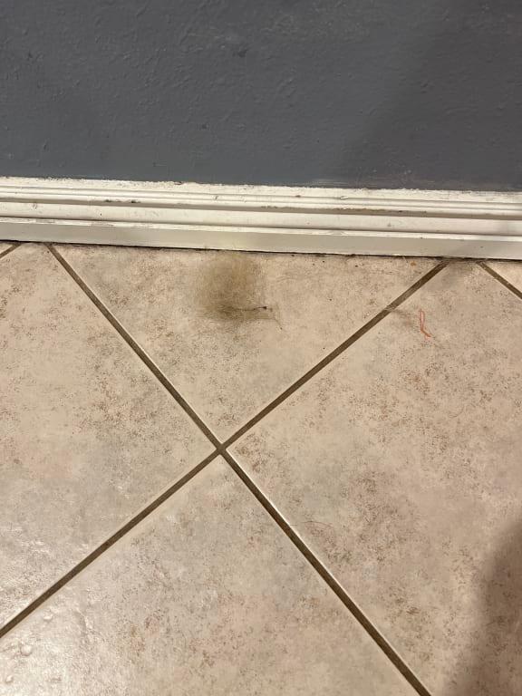 After 3 hours of vacuuming