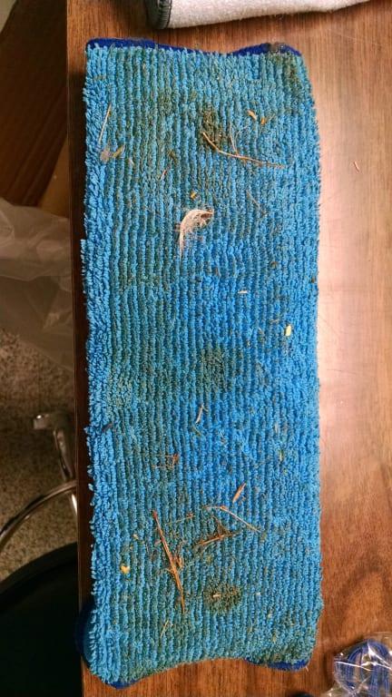 This is what 380t washed up from my floor