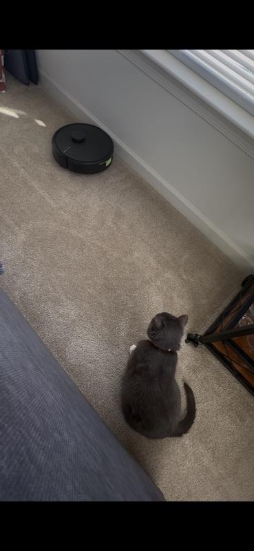 Photo - commentaire 4.