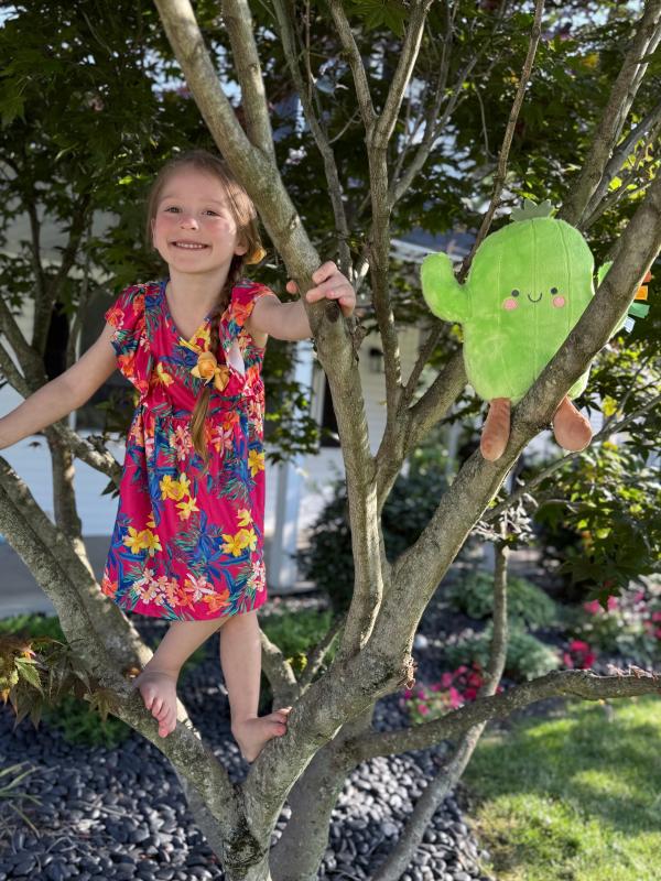 Adventure pal, Sweetie snuggle, Night-time fun