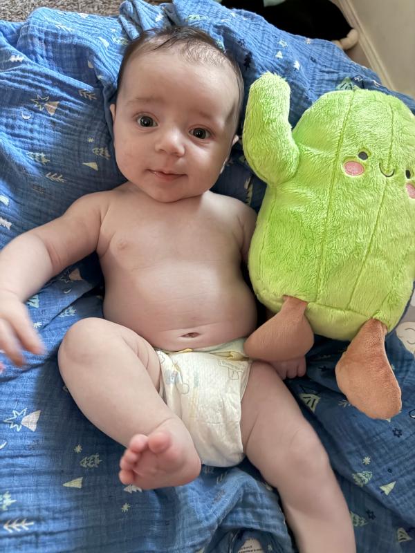 Adventure pal, Sweetie snuggle, Night-time fun