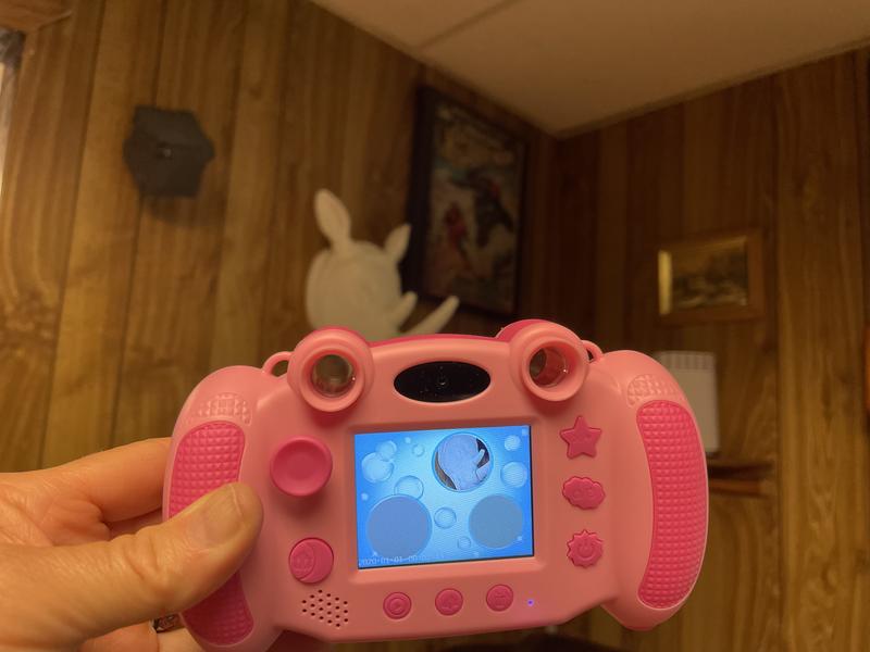 Picture of The Rhinoceros on The Wall