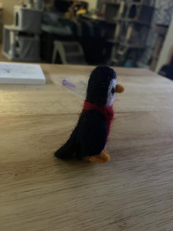  FTEVEN Needle Felting Kit Penguin, Needle Felting Kit for  Beginners Adult, Complete Animals Felting Kit Supplies Include Felting  Needles, Felting Wool and Instruction(Penguin Cici) : Arts, Crafts & Sewing