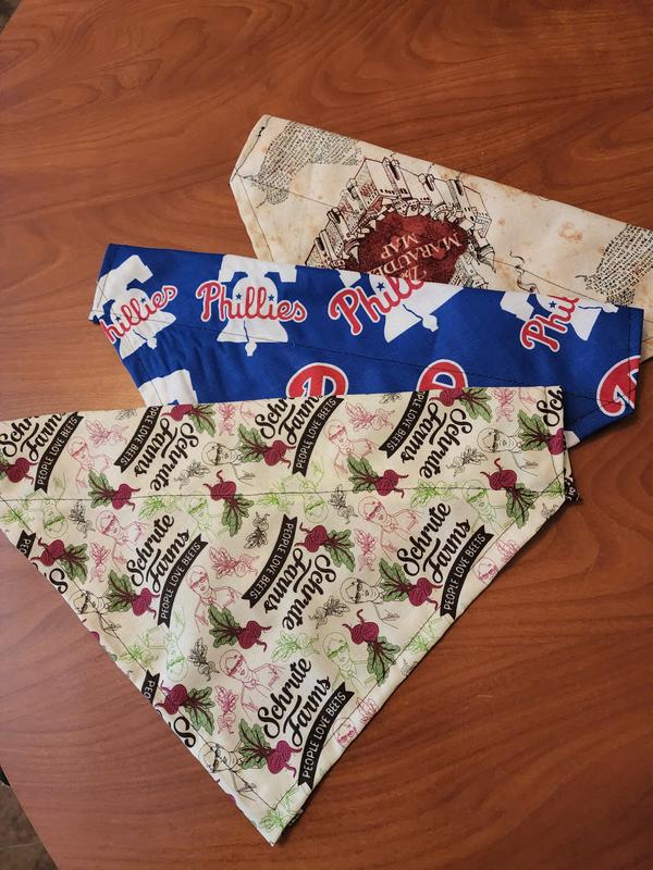 Philadelphia Phillies Fabric by the Yard - Red Retro Phillies Toss - Fabric  Traditions 60145-B