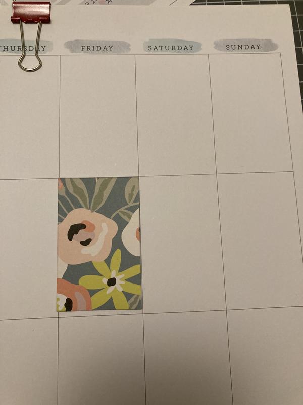 Snagged these two Happy Planner big & classic weekly box punches
