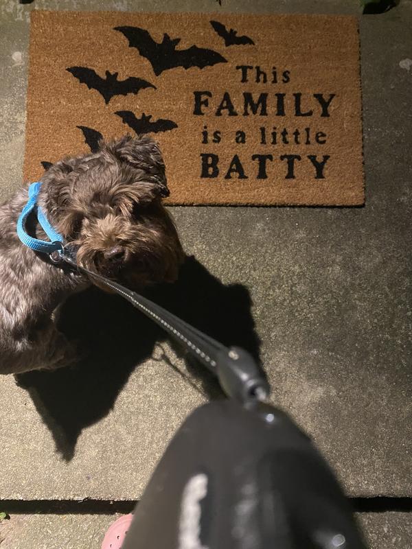 Plain Batty Doormat