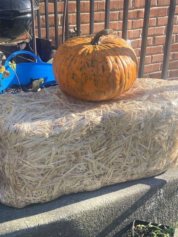 FloraCraft® Decorative Straw Hay Bale - 20