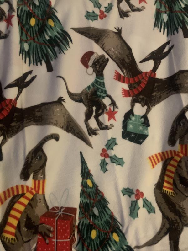 48 Wide Green T Rex Dinosaur No Sew Fleece Blanket JOANN