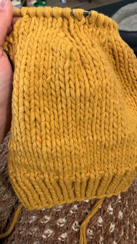 ISO Big Twist Hush yarn in taupe : r/crochet
