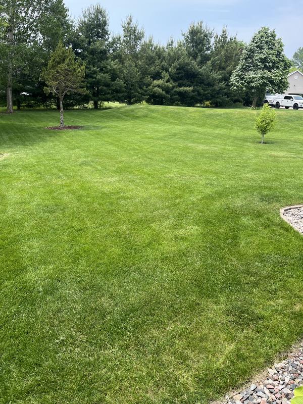 Love my Z545R and making tall grass short