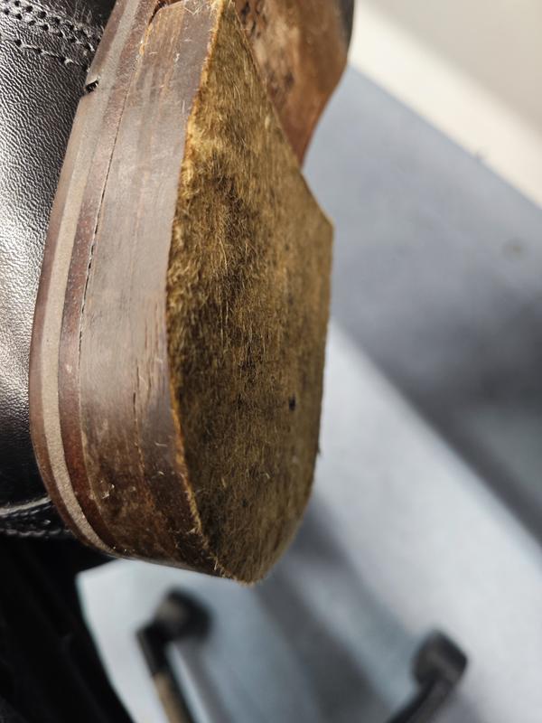 Review Thumbnail Image 0 377539856