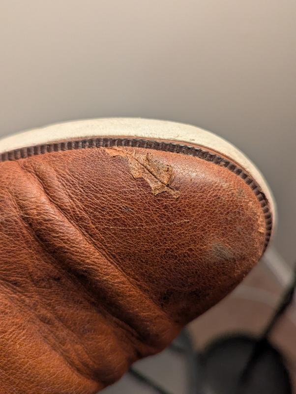 Review Thumbnail Image 0 359360356