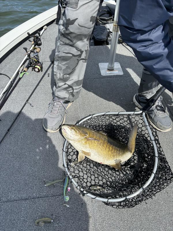 Humminbird 411320-1CHO Helix 15 Chirp MEGA SI+ GPS G4N CHO (tête de contrôle uniquement) Détecteur de poissons