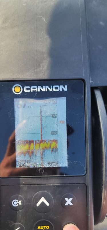 cannon キャノン　ダウンリガー Cannon Downrigger Transducer - Cannon