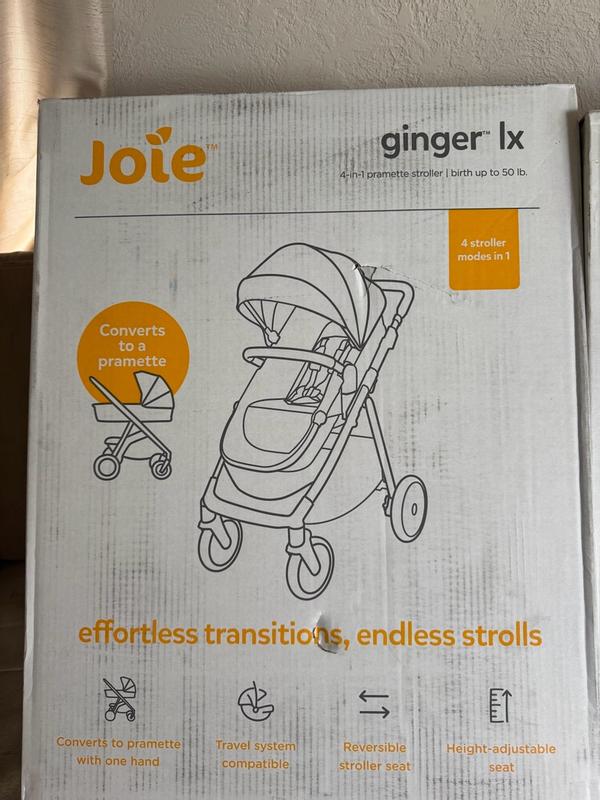 Joie Ginger LX & Mint Latch Travel System | Baseless Car Seat
