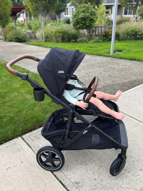 Chive™ and Rue™ Travel System | Joie™ US