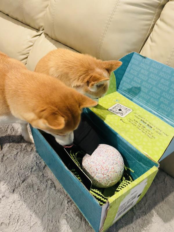 米プログレ Pavlov’s Dog 4タイトル 紙ジャケットボックスセット Pavlov's Dogs | Board Game | BoardGameGeek