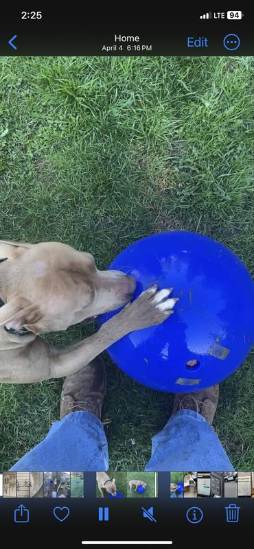 First day, fresh, new and shiny