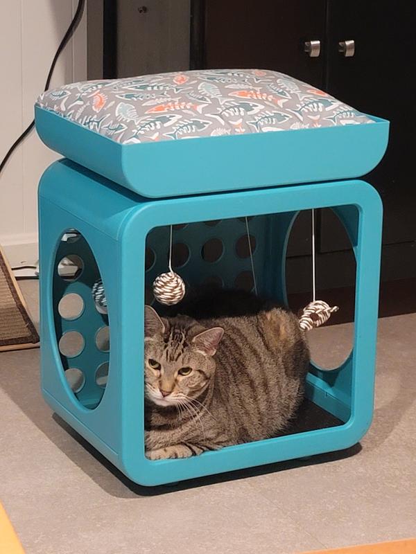 Kitty Kasa Penthaus Bed | Modular Cat Furniture - Jolly Pets