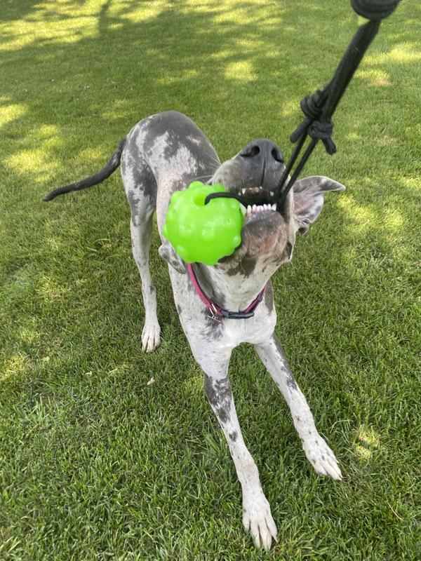 Dog Toys For Aggressive Chewers interactive Dog Toys Tug Of - Temu