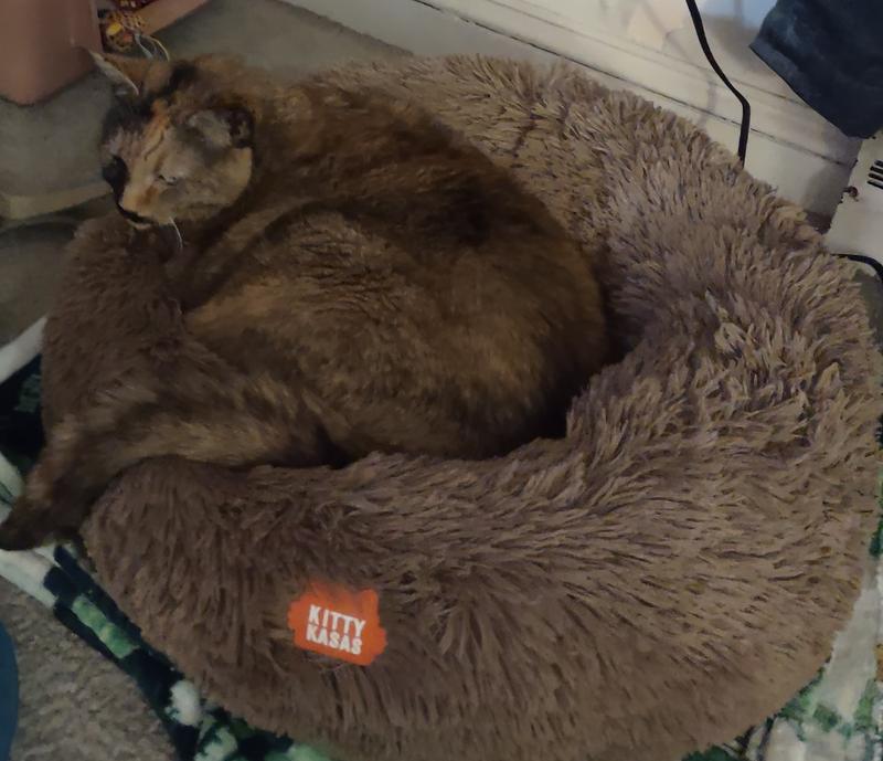 BEDYKAT™ Cat Bed