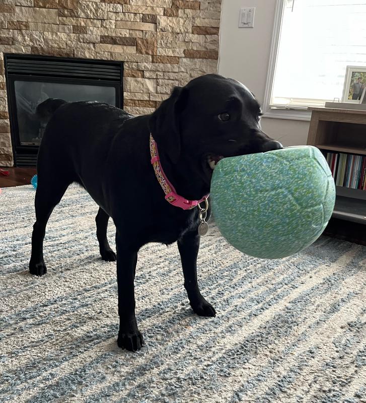 Ball For Dog Ball Energetic Herding Fun Play Pet Supplies Indestructible Toy  14