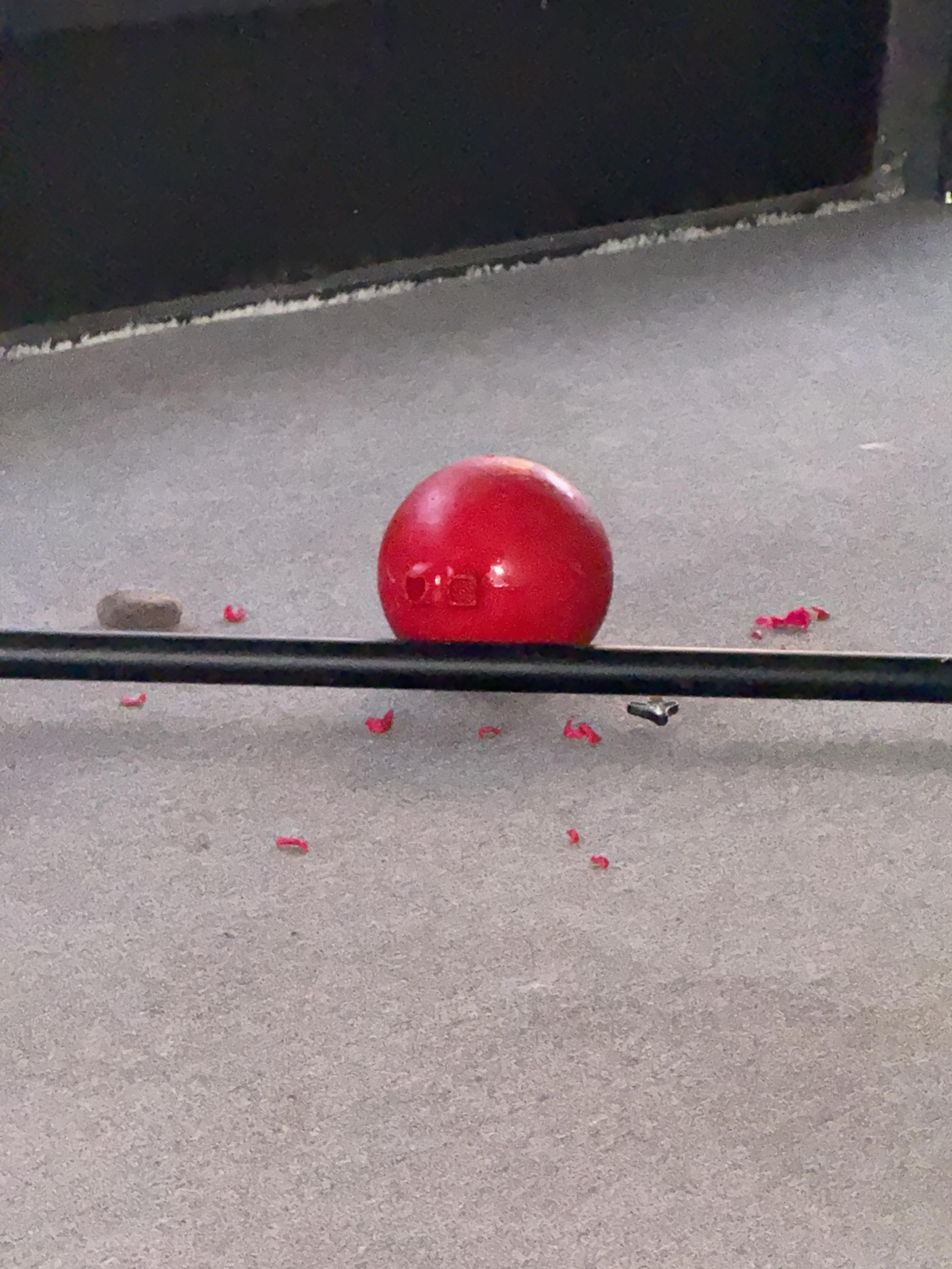 Petco jolly ball sale