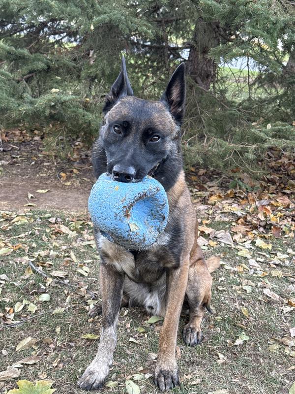 Rough and towards the end of its life