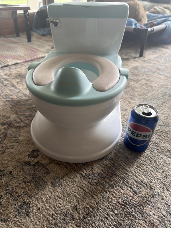 Pop can for size reference