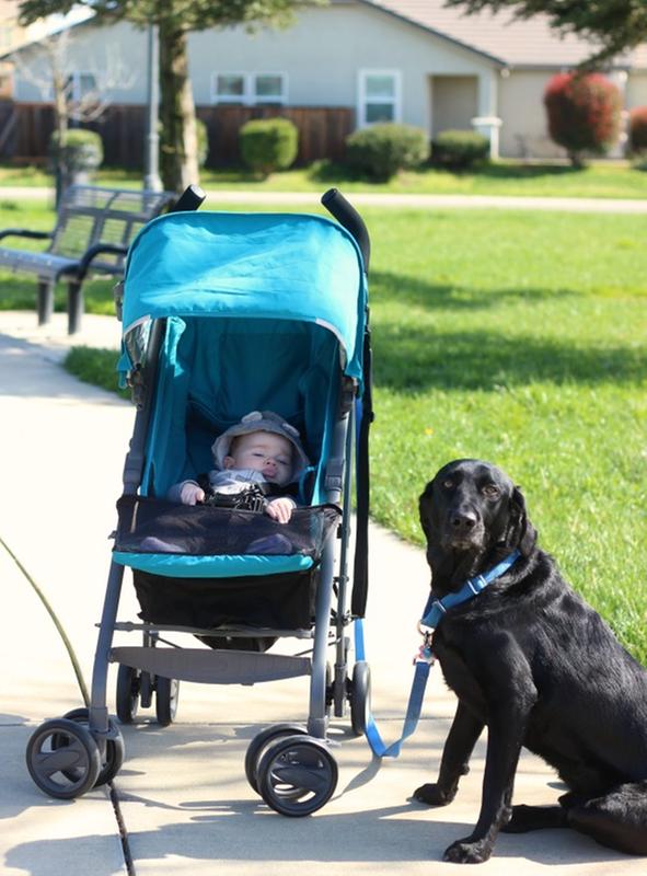 joovy ultralight umbrella stroller