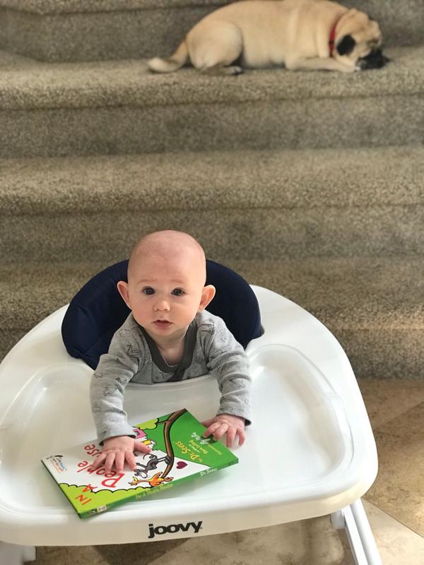 joovy spoon walker age