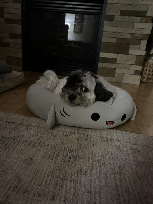 Squishmallows Gordon The Shark Pet Bed - Chaar