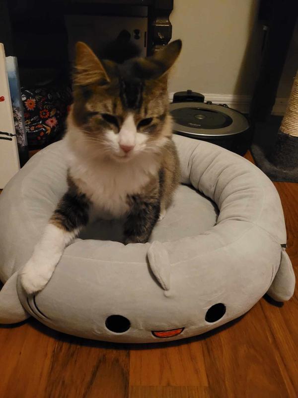 Squishmallows Gordon The Shark Pet Bed - Chaar