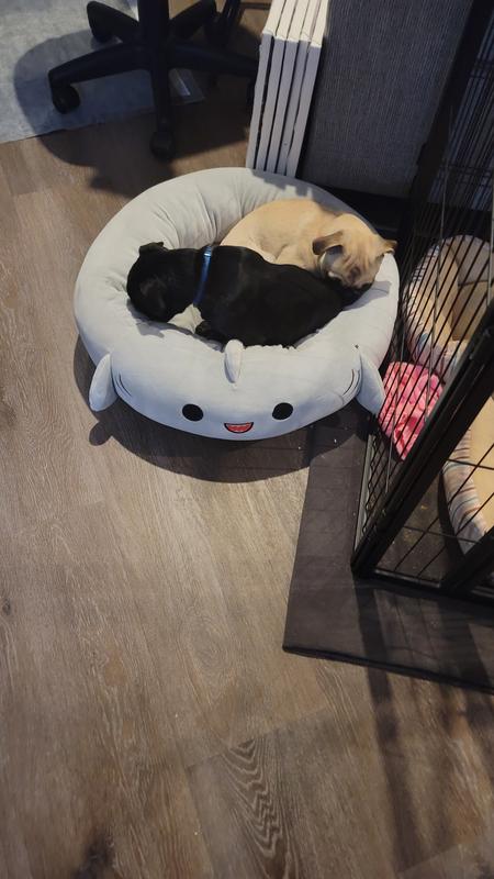 Squishmallows Gordon The Shark Pet Bed - Chaar