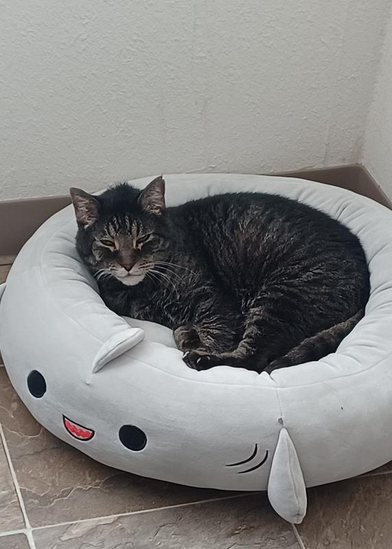 Squishmallows Gordon The Shark Pet Bed - Chaar