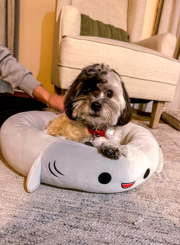 Squishmallows Gordon The Shark Pet Bed - Chaar