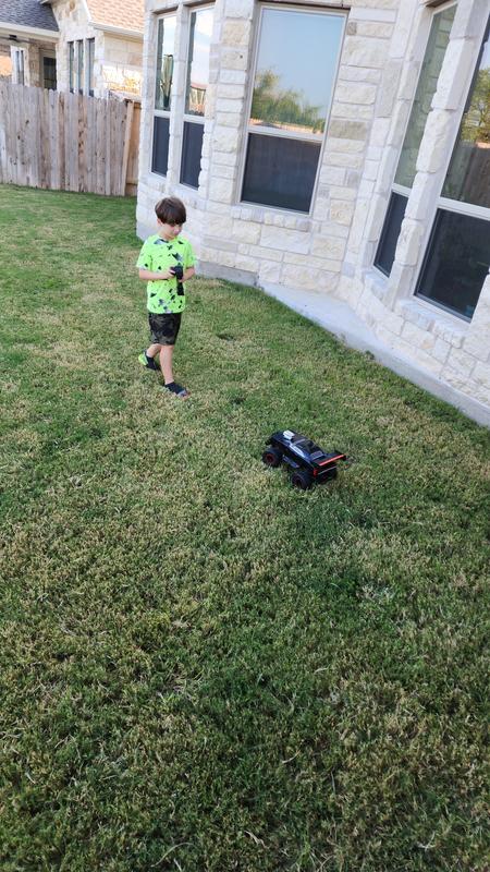 Playing in the backyard