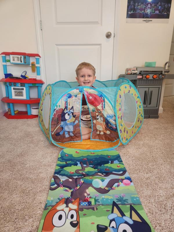 Playhut Nickelodeon Teenage Mutant Ninja Turtles Make Believe N Play Tent