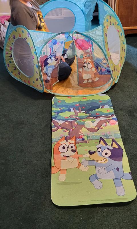 Bluey corral and mat