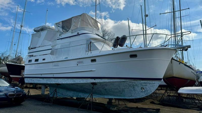 Pettit Trinidad Pro Antifouling Paint | Boat Paints