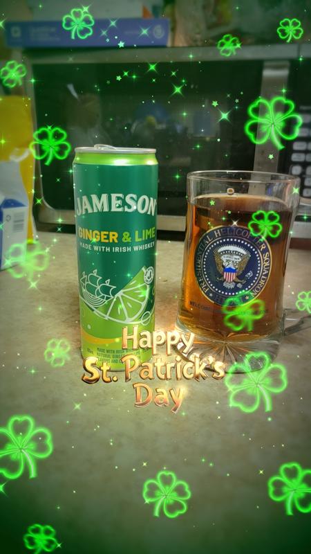 JAMESON GINGER & LIME RTD 4 PK | Meijer