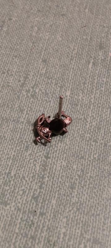 Photo - commentaire 1.