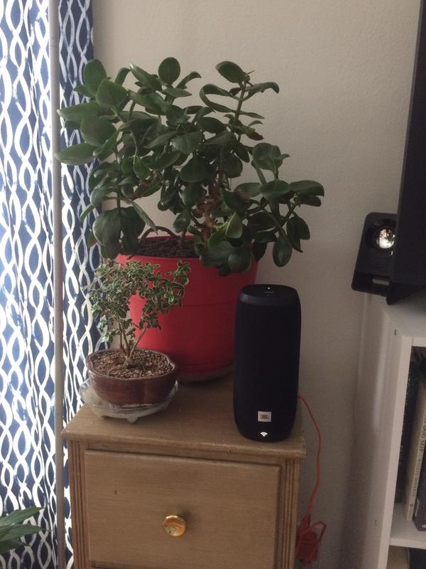 JBL link 20